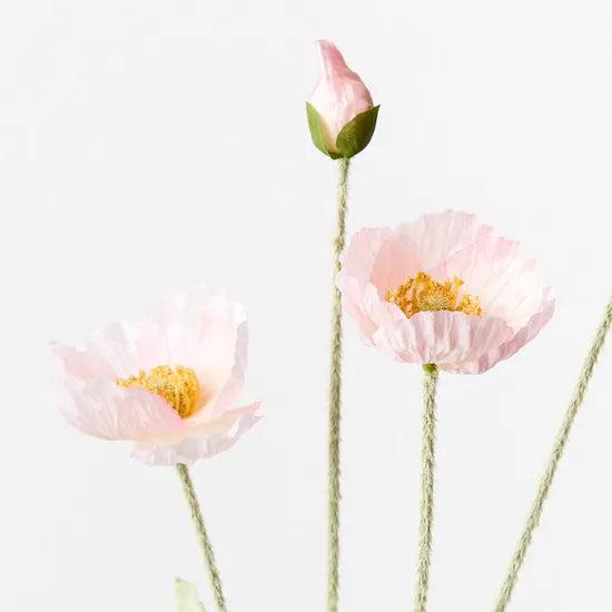 Poppy Icelandic Spray Light Pink