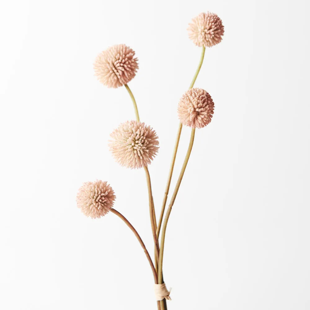 Billy Button Bundle - Light Pink